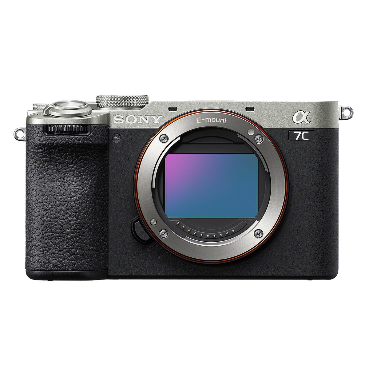 Interchangeable-lens Cameras | Sony Singapore