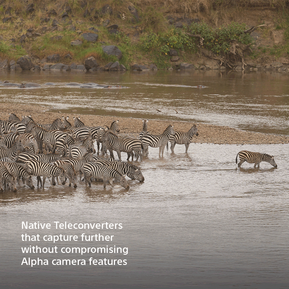 Native Teleconverters that capture further without compromising Alpha camera features