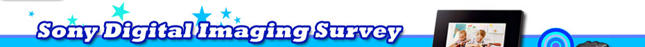 Sony Digital Imaging Survey
