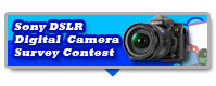Sony DSLR Digital Camera Survey Contest