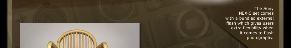 The Sony NEX-5 set comes with a bundled external flash which gives users extra flexibility when it comes to flash photography.