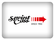 Spring Logo