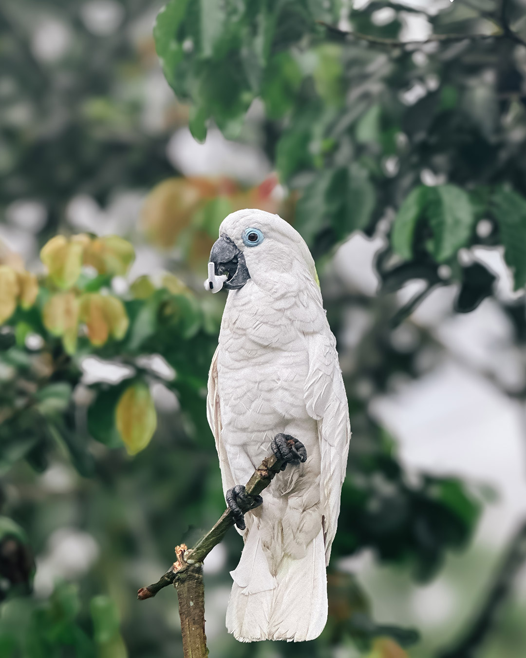 @wildnaturern