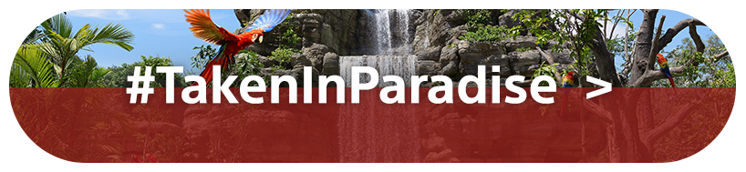 #TakenInParadise | Sony Category