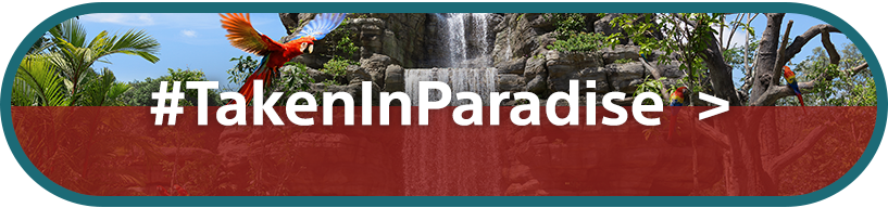 #TakenInParadise | Video Category