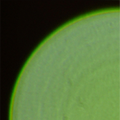 bokeh-content-img-1-existing-lenses