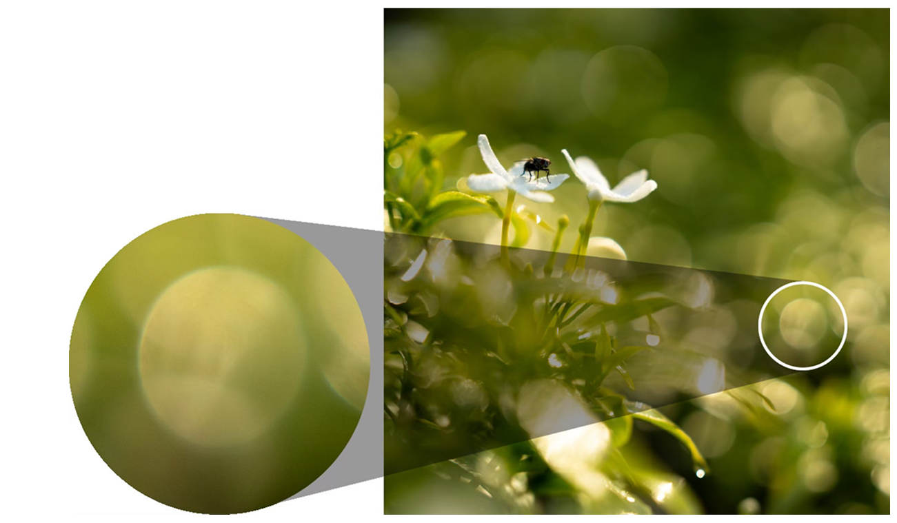 bokeh-photo-zoom