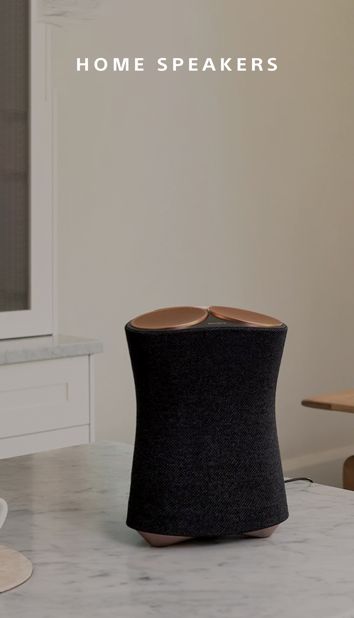 HOME SPEAKERS