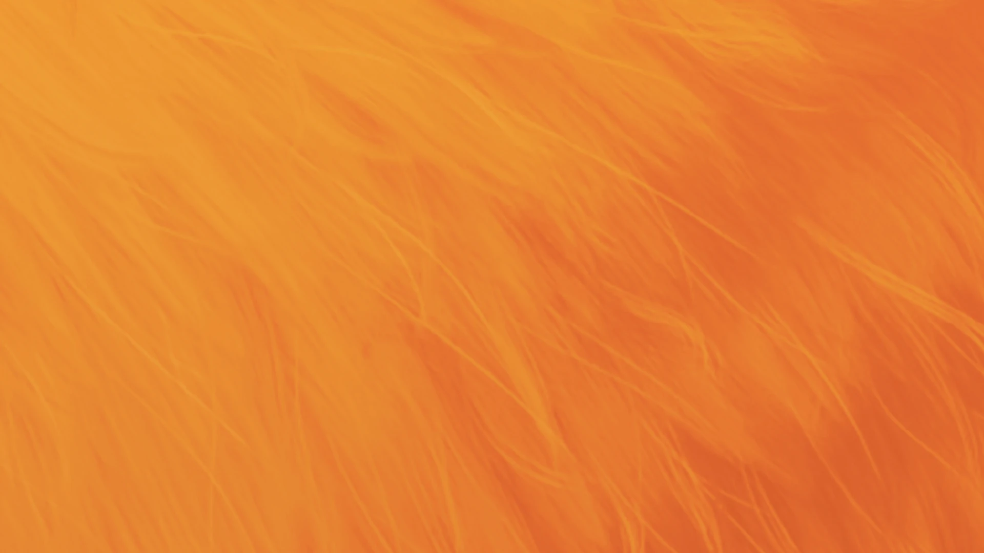 Menu Background
