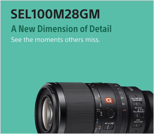 SEL100M28GM