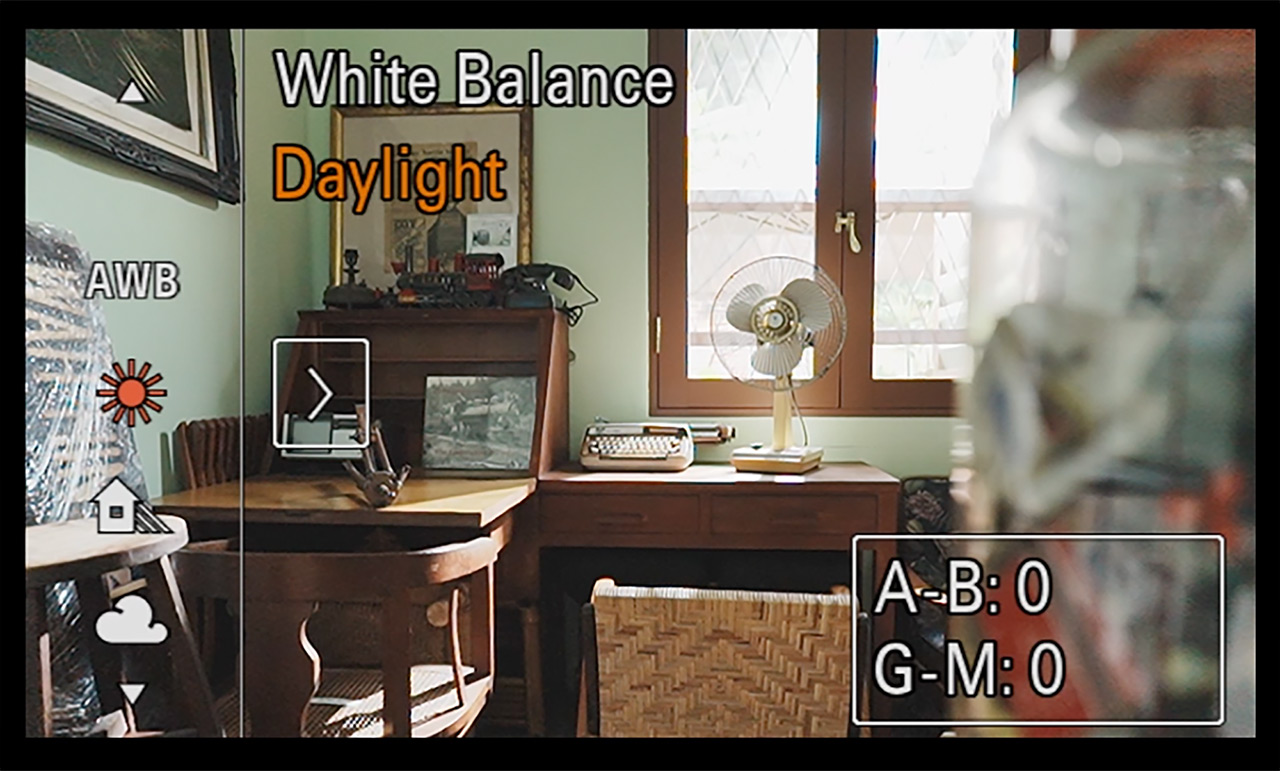Step 4: White Balance